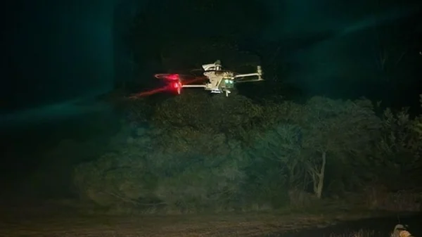 Thermal image of animals in a paddock