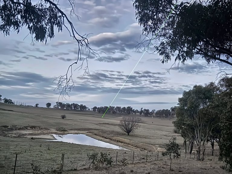 Green pointer laser from the Feral Pro marking a point in a paddock